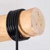 Ripoll lampa wisząca, kula świetlna, lampa wisząca kolory naturalne, czarny, 5-punktowe