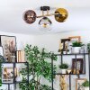 Koyoto lampa sufitowa, kula świetlna złoty, czarny, 3-punktowe