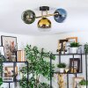 Koyoto lampa sufitowa, kula świetlna złoty, czarny, 3-punktowe