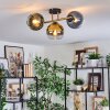 Koyoto lampa sufitowa, kula świetlna złoty, czarny, 3-punktowe