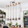 Ripoll lampa wisząca, kula świetlna, lampa wisząca kolory naturalne, czarny, 5-punktowe