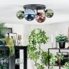 Chehalis lampa sufitowa, kula świetlna niebeieski, zielony, miedziany, 4-punktowe