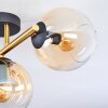 Koyoto lampa sufitowa, kula świetlna złoty, czarny, 3-punktowe