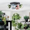 Chehalis lampa sufitowa, kula świetlna niebeieski, zielony, przezroczysty, miedziany, 4-punktowe