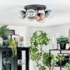 Chehalis lampa sufitowa, kula świetlna niebeieski, zielony, przezroczysty, miedziany, 4-punktowe