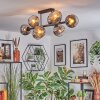 Ripoll lampa sufitowa, kula świetlna chrom, przezroczysty, przydymiony, 8-punktowe