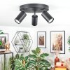 Foren Lampa sufitowa, Spot sufitowy LED Czarny, 3-punktowe, Zmieniacz kolorów
