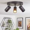 Foren Lampa sufitowa, Spot sufitowy LED Czarny, 3-punktowe, Zmieniacz kolorów