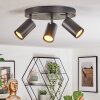 Foren Lampa sufitowa, Spot sufitowy LED Czarny, 3-punktowe, Zmieniacz kolorów