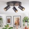 Foren Lampa sufitowa, Spot sufitowy LED Czarny, 3-punktowe, Zmieniacz kolorów
