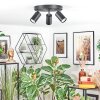 Foren Lampa sufitowa, Spot sufitowy LED Czarny, 3-punktowe, Zmieniacz kolorów