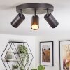 Foren Lampa sufitowa, Spot sufitowy LED Czarny, 3-punktowe, Zmieniacz kolorów