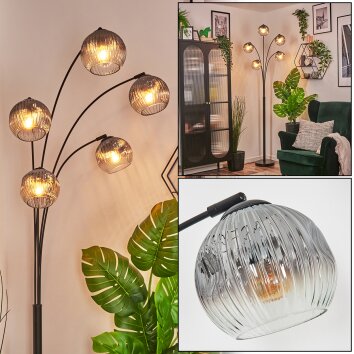 Ripoll Kula świetlna, Lampa stojąca Przezroczysty, Przydymiony, 5-punktowe