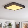 Finsrud lampa łazienkowa, lampa sufitowa, panel LED czarny, 1-punktowy