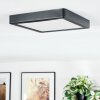 Finsrud lampa łazienkowa, lampa sufitowa, panel LED czarny, 1-punktowy