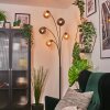 Gastor kula świetlna, lampa stojąca bursztynowy, przydymiony, 5-punktowe