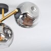 Ripoll lampa sufitowa, kula świetlna złoty, czarny, 3-punktowe
