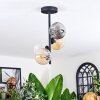 Chehalis lampa sufitowa, kula świetlna bursztynowy, przezroczysty, przydymiony, 4-punktowe