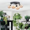 Chehalis lampa sufitowa, kula świetlna bursztynowy, 4-punktowe