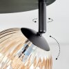Chehalis lampa sufitowa, kula świetlna bursztynowy, 4-punktowe