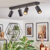 Foren Lampa sufitowa, Spot sufitowy LED Czarny, 4-punktowe, Zmieniacz kolorów Foren Lampa sufitowa, Spot sufitowy LED Czarny, 4-punktowe, Zmieniacz kolorów