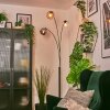 Koyoto kula świetlna, lampa stojąca bursztynowy, chrom, przezroczysty, przydymiony, 3-punktowe