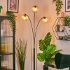 Koyoto kula świetlna, lampa stojąca bursztynowy, przezroczysty, 3-punktowe