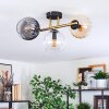 Koyoto lampa sufitowa, kula świetlna złoty, czarny, 3-punktowe