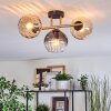 Koyoto lampa sufitowa, kula świetlna złoty, czarny, 3-punktowe