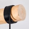 Ripoll lampa wisząca, kula świetlna, lampa wisząca kolory naturalne, czarny, 4-punktowe