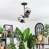 Chehalis lampa sufitowa, kula świetlna chrom, przezroczysty, przydymiony, 4-punktowe
