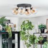 Gastor Lampa sufitowa, Kula świetlna W kolorze bursztynu, Przezroczysty, 4-punktowe Gastor Lampa sufitowa, Kula świetlna W kolorze bursztynu, Przezroczysty, 4-punktowe