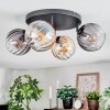 Koyoto lampa sufitowa, kula świetlna bursztynowy, przezroczysty, przydymiony, 4-punktowe