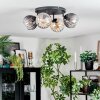 Koyoto lampa sufitowa, kula świetlna bursztynowy, przezroczysty, przydymiony, 4-punktowe