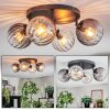 Koyoto lampa sufitowa, kula świetlna bursztynowy, przezroczysty, przydymiony, 4-punktowe