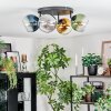 Koyoto Lampa sufitowa, Kula świetlna Niebeieski, Złoty, Zielony, Przezroczysty, Przydymiony, 4-punktowe