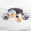 Gastor lampa sufitowa, kula świetlna bursztynowy, przydymiony, 4-punktowe