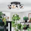 Gastor lampa sufitowa, kula świetlna bursztynowy, przezroczysty, przydymiony, 4-punktowe
