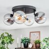 Gastor lampa sufitowa, kula świetlna bursztynowy, przezroczysty, przydymiony, 4-punktowe