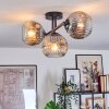 Ripoll lampa sufitowa, kula świetlna chrom, przezroczysty, przydymiony, 3-punktowe