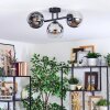 Koyoto lampa sufitowa, kula świetlna chrom, przezroczysty, przydymiony, 3-punktowe