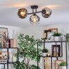 Koyoto lampa sufitowa, kula świetlna chrom, przezroczysty, przydymiony, 3-punktowe