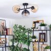 Koyoto lampa sufitowa, kula świetlna bursztynowy, przezroczysty, przydymiony, 3-punktowe