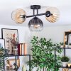 Koyoto lampa sufitowa, kula świetlna bursztynowy, przezroczysty, przydymiony, 3-punktowe