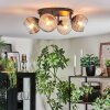 Koyoto lampa sufitowa, kula świetlna bursztynowy, przezroczysty, przydymiony, 4-punktowe