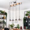 Ripoll lampa wisząca, kula świetlna, lampa wisząca kolory naturalne, czarny, 4-punktowe