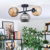 Ripoll lampa sufitowa, kula świetlna bursztynowy, przydymiony, 3-punktowe