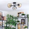 Ripoll lampa sufitowa, kula świetlna bursztynowy, przezroczysty, przydymiony, 3-punktowe
