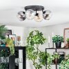 Koyoto lampa sufitowa, kula świetlna bursztynowy, przezroczysty, przydymiony, 4-punktowe