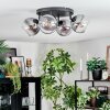 Koyoto lampa sufitowa, kula świetlna przezroczysty, przydymiony, 4-punktowe